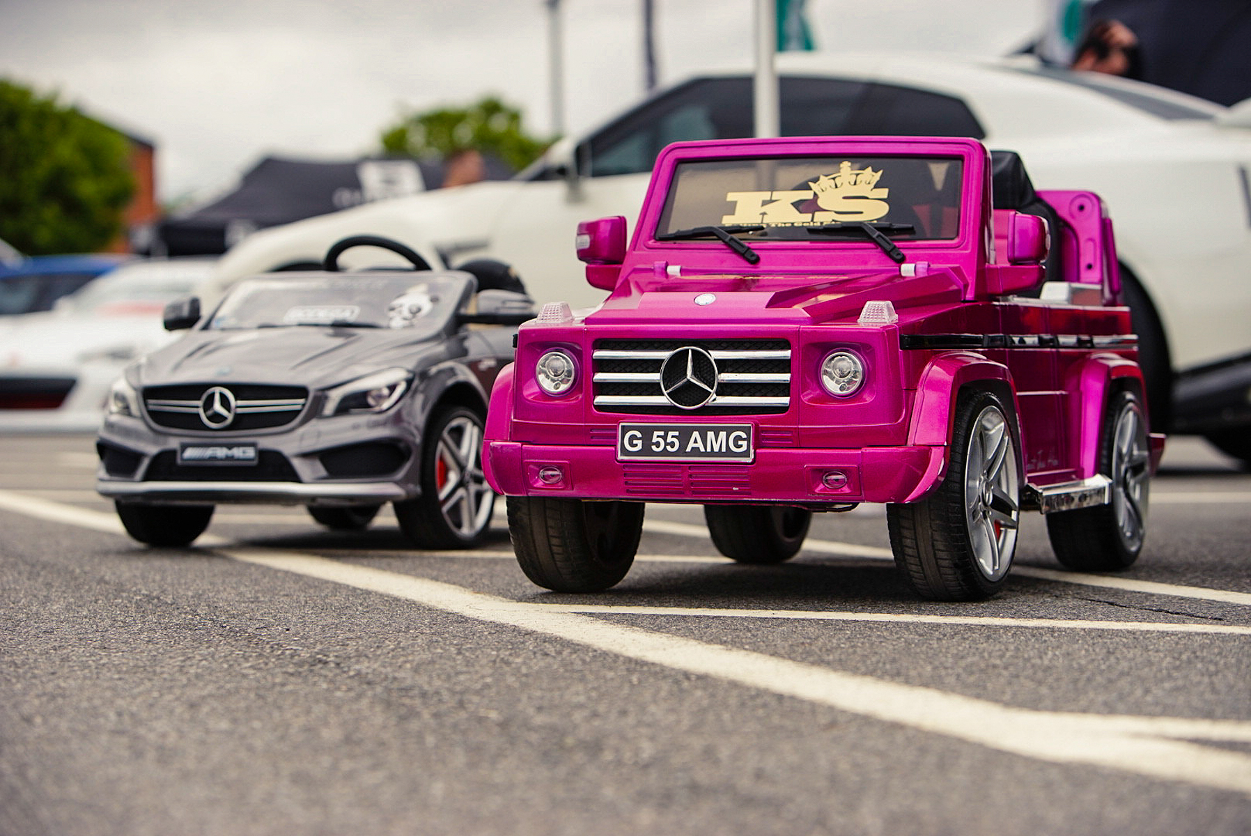 DSC 9006 Zen Feature-