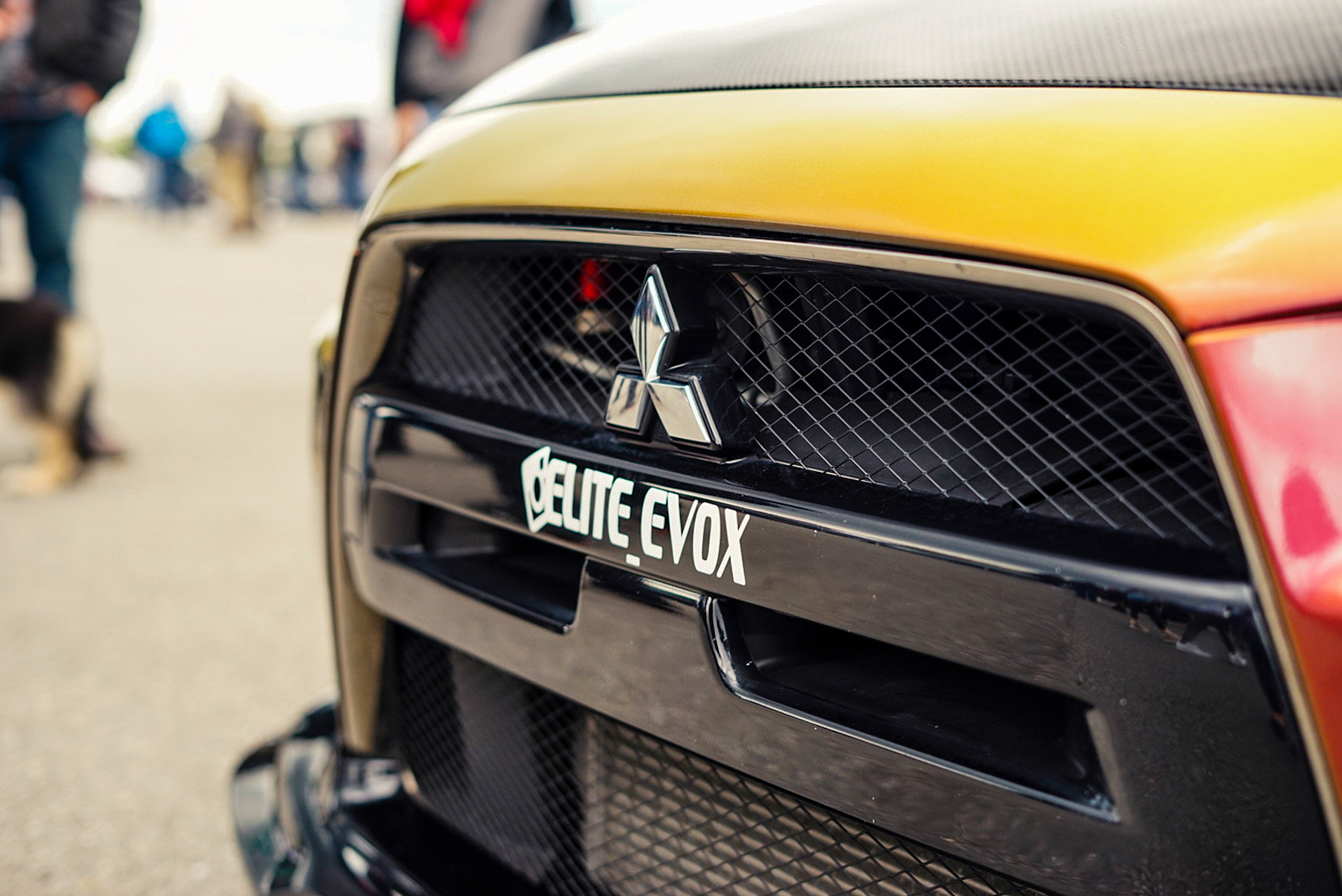 DSC 9093 Zen Feature-