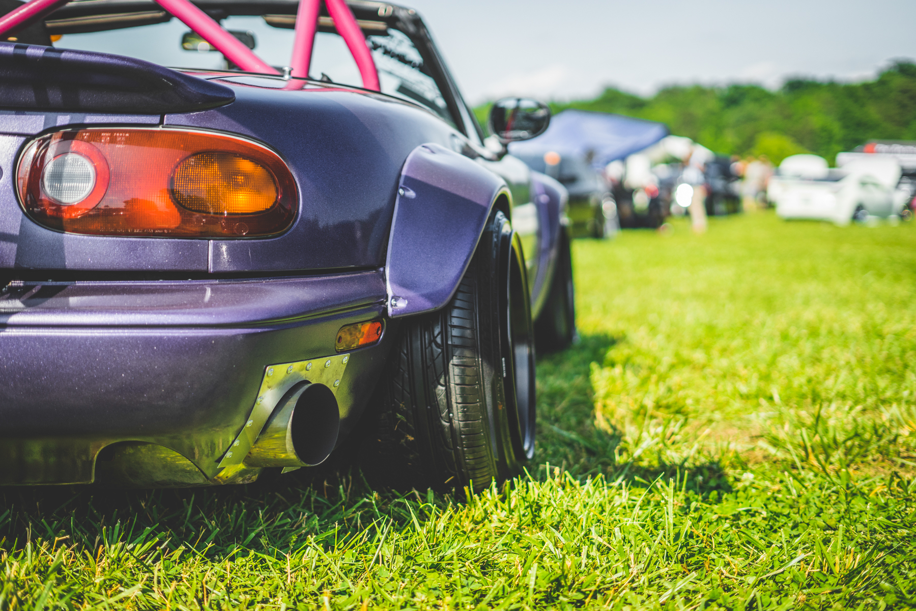 DSC 9263 Zen Feature