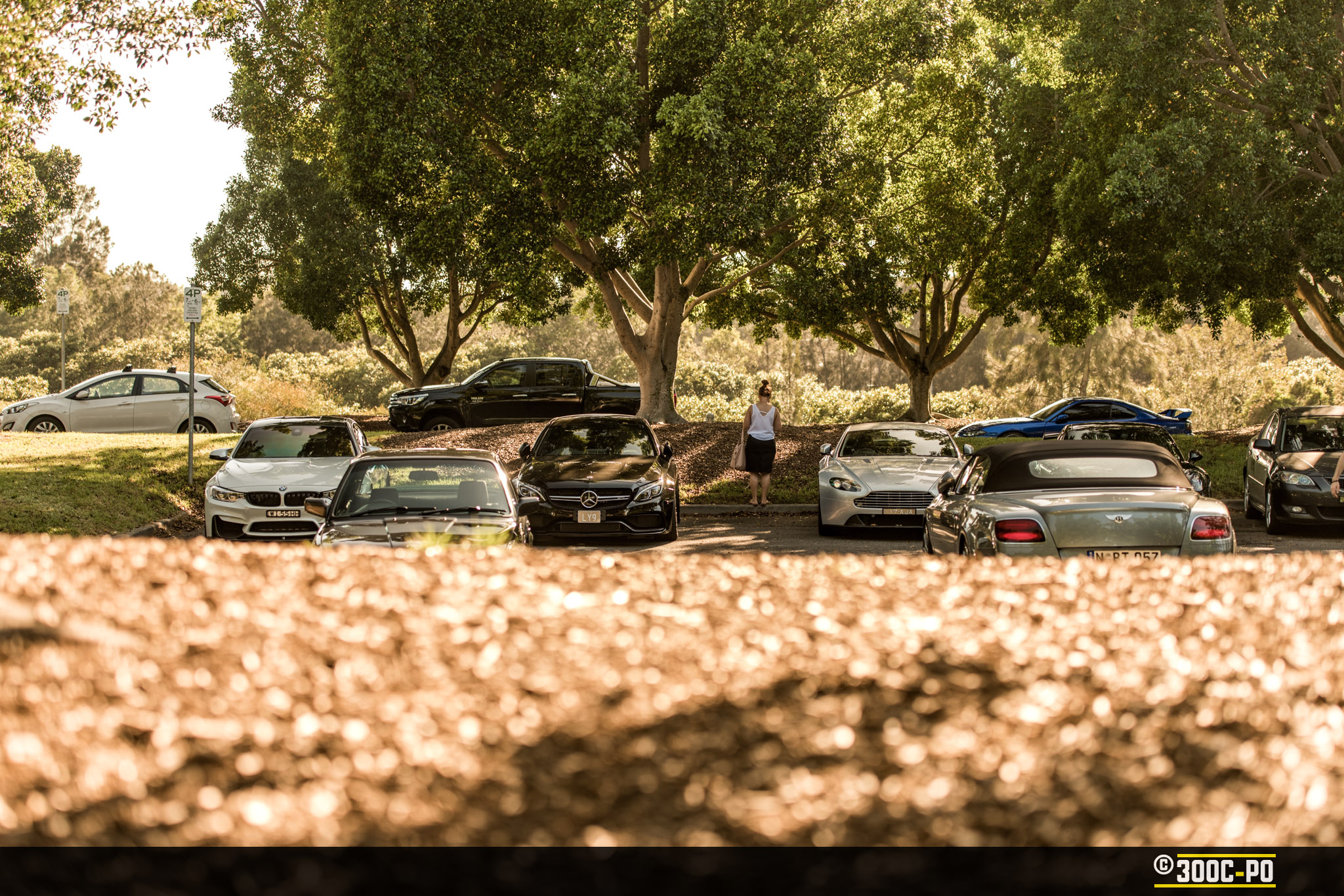 2018-12-09 - Rendezvous at Waterview IV 113