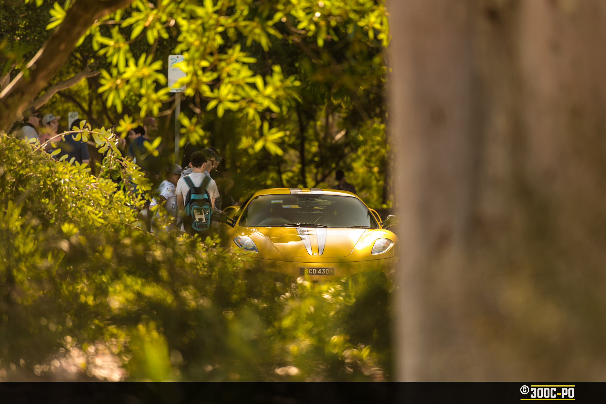 2018-12-09 - Rendezvous at Waterview IV 137