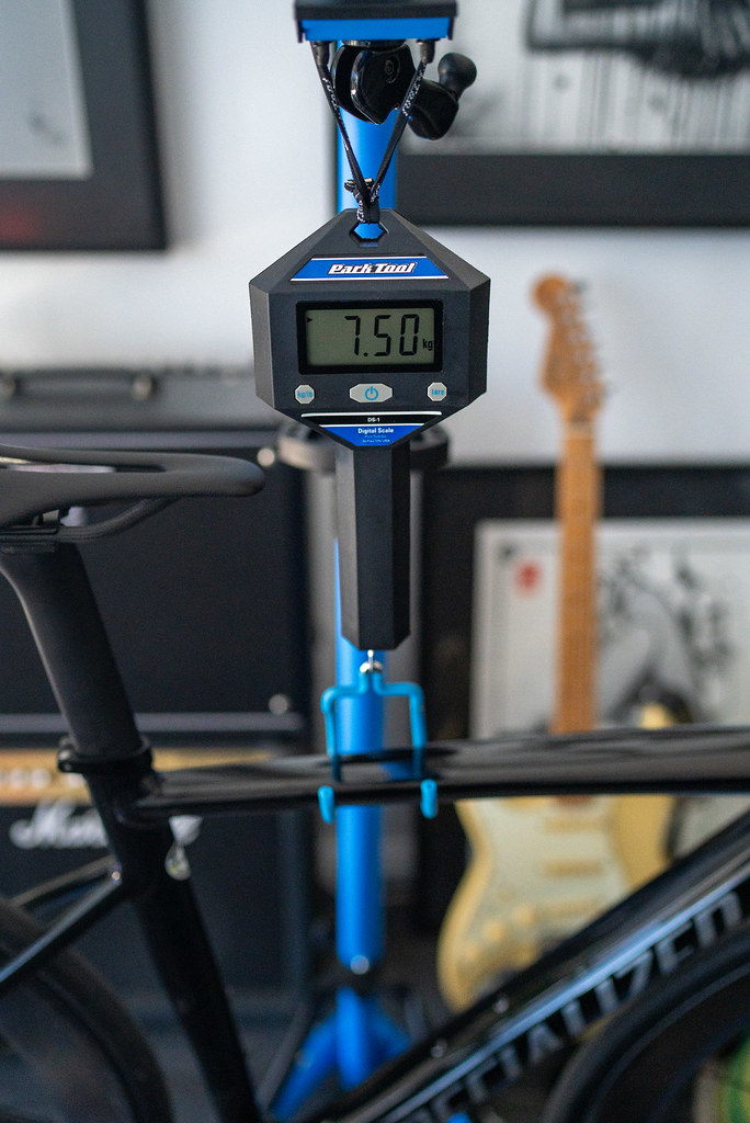 54000335172_bafe75cb30_b