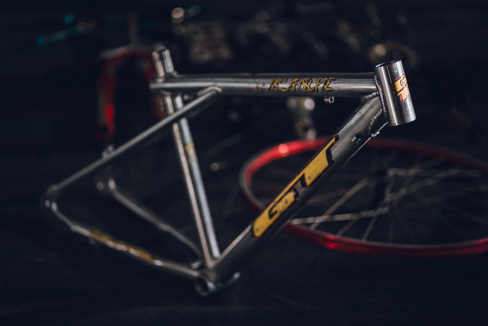 54830443529_83944c06c8_o