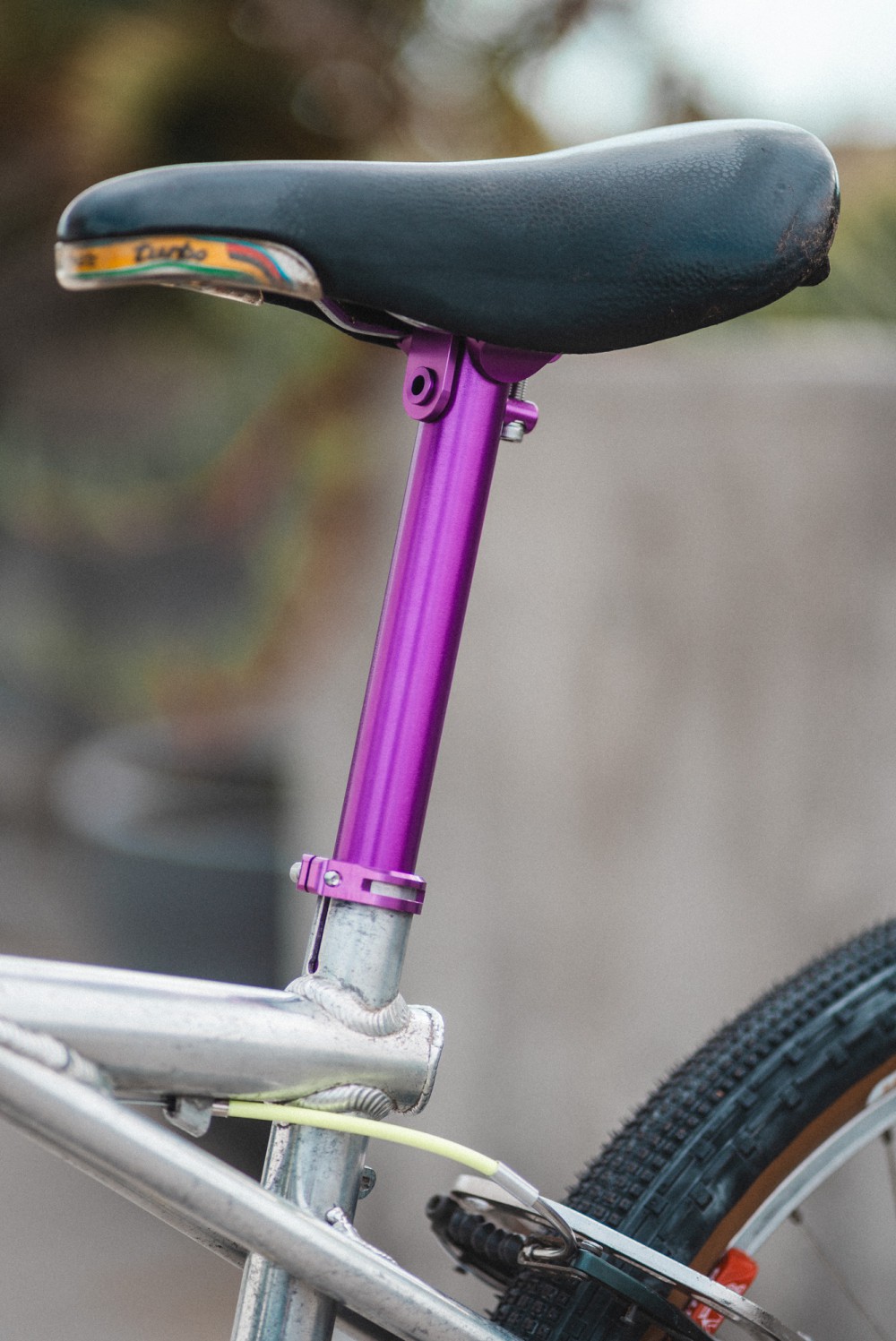 54866976759_f8d477dcd0_o