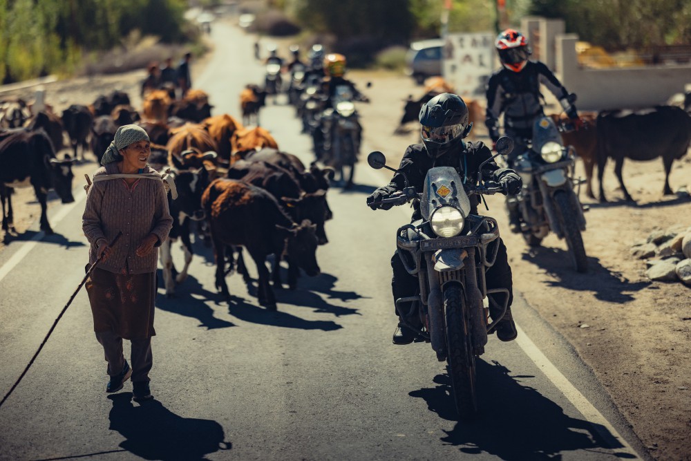 639703565_10164111033350928_5013580757611261737_n