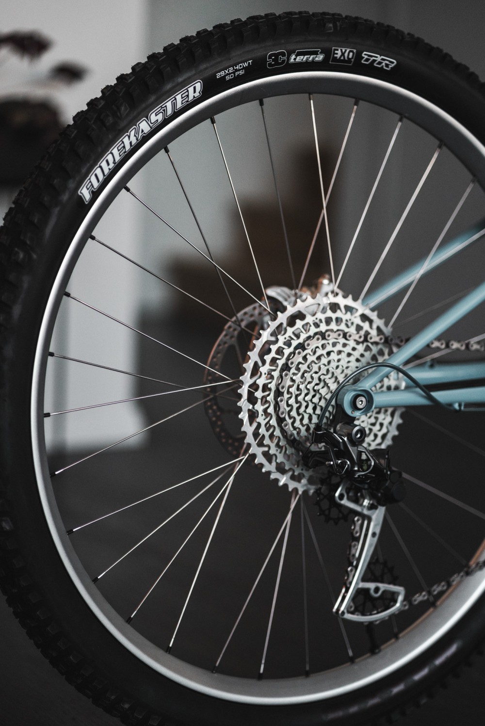 maxxis_blackout_logos